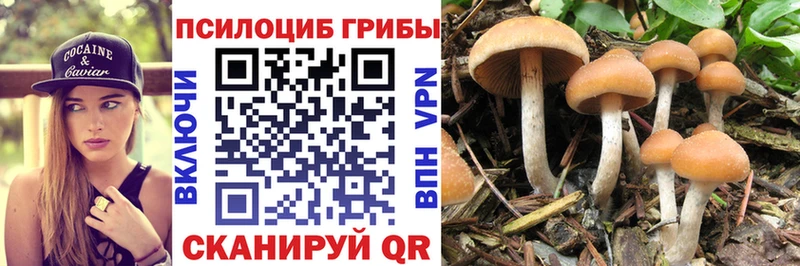 hydra как зайти  Безенчук  дарк нет официальный сайт  Галлюциногенные грибы MAGIC MUSHROOMS 